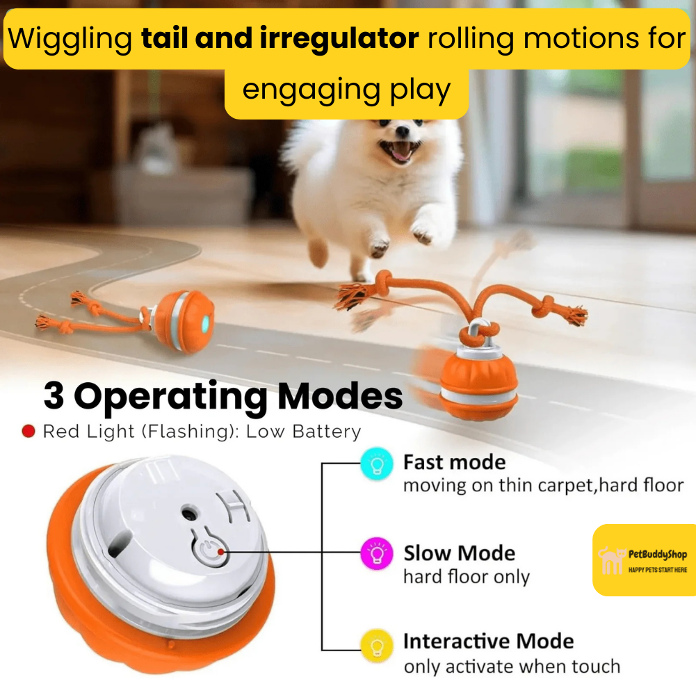 PetBuddyShop™ - Interactive Motion Dog Toy – Keeps Your Pet Entertained for Hours
