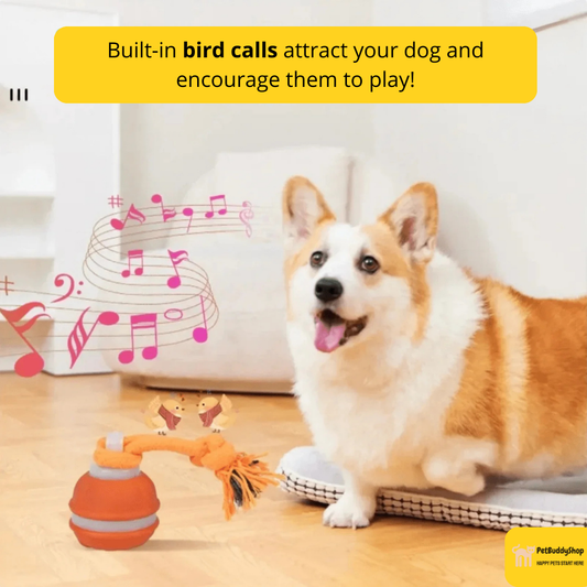 PetBuddyShop™ - Interactive Motion Dog Toy – Keeps Your Pet Entertained for Hours